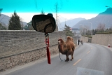 china (112).JPG